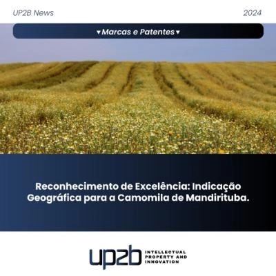 RECONHECIMENTO DE EXCELÊNCIA: INDICAÇÃO GEOGRÁFICA PARA A CAMOMILA DE MANDIRITUBA